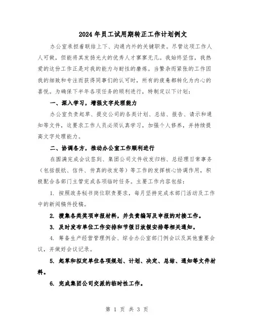 2024年员工试用期转正工作计划例文（二篇）