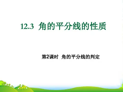 人教八年级数学上册《角的平分线的判定》(共18张)