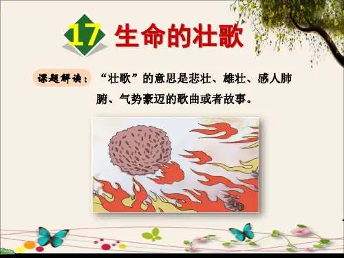苏教版四年级语文下册17生命的壮歌