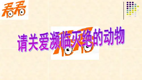 华南虎介绍