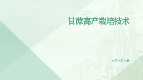 甘蔗高产栽培技术