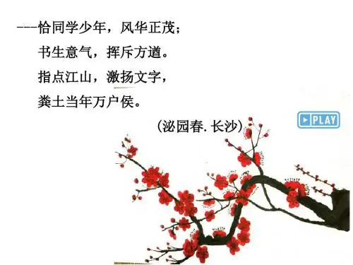 人教版《道德与法治》九年级下册5.2少年当自强 课件(共35张PPT)