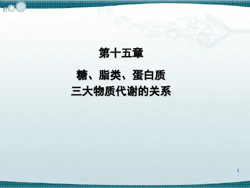 糖、脂类、蛋白质三大物质代谢的关系