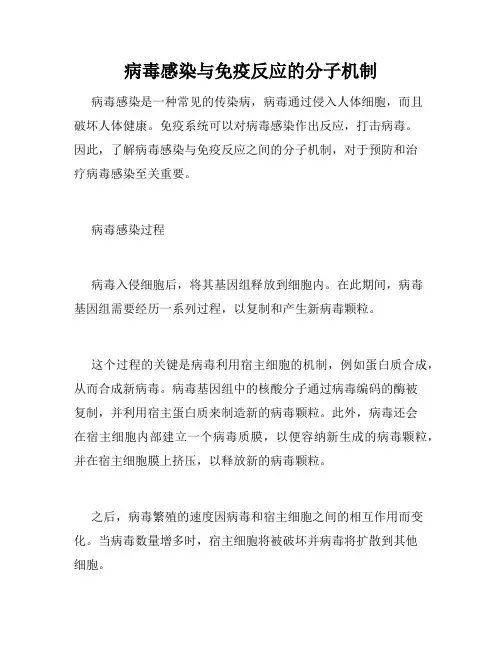 病毒感染与免疫反应的分子机制