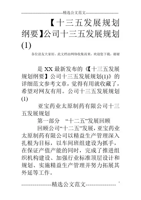 【十三五发展规划纲要】公司十三五发展规划(1)