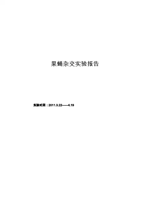 果蝇杂交实验报告