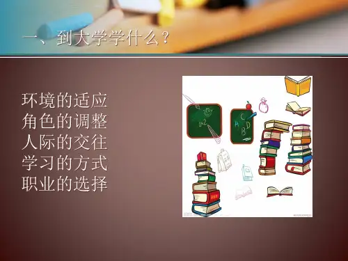 学习经验汇报ppt