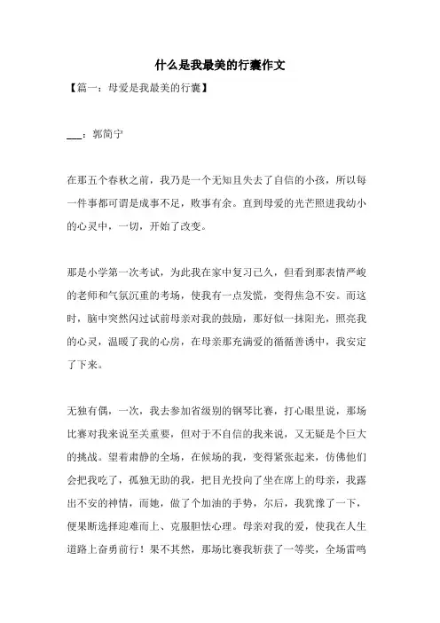 什么是我最美的行囊作文