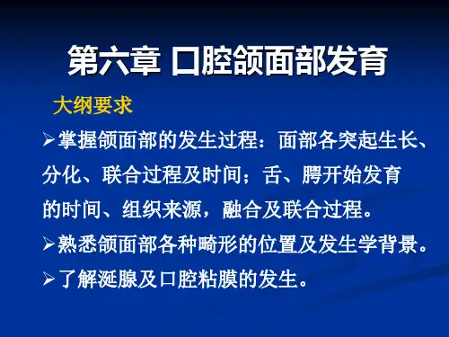 颌面部发育