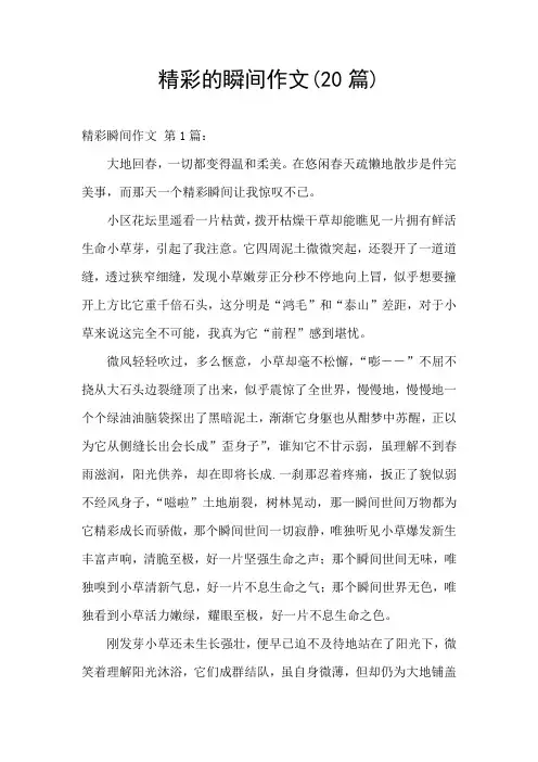 精彩的瞬间作文(20篇)