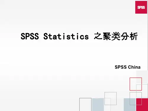 SPSS Statistics 19_聚类分析