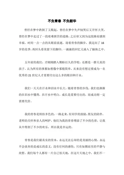 不负青春 不负韶华作文