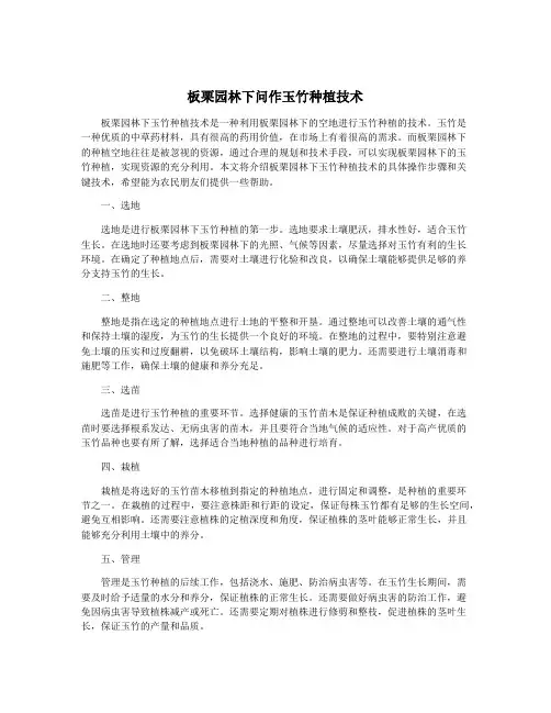 板栗园林下问作玉竹种植技术