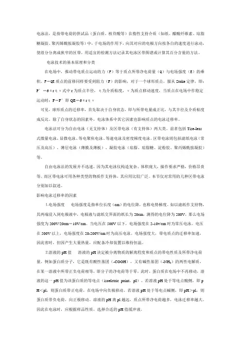 电泳工艺介绍讲解