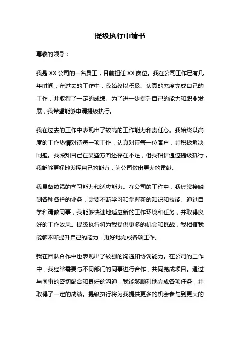 提级执行申请书