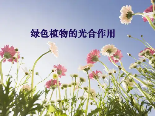 初一生物-《绿色植物的光合作用》ppt课件