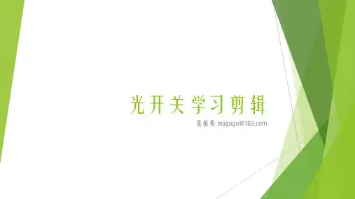 06 光开关