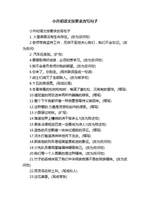 小升初语文按要求改写句子