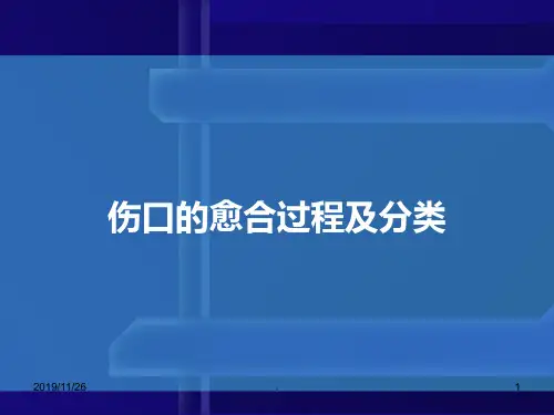 伤口的愈合过程及分类PPT课件