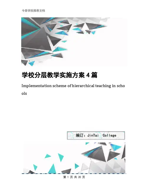 学校分层教学实施方案4篇