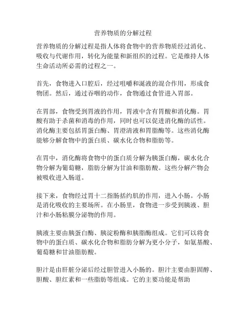 营养物质的分解过程