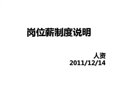 白象集团销售岗位薪制度说明-2011