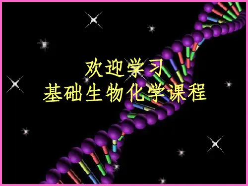 《生物化学导论绪论》PPT课件