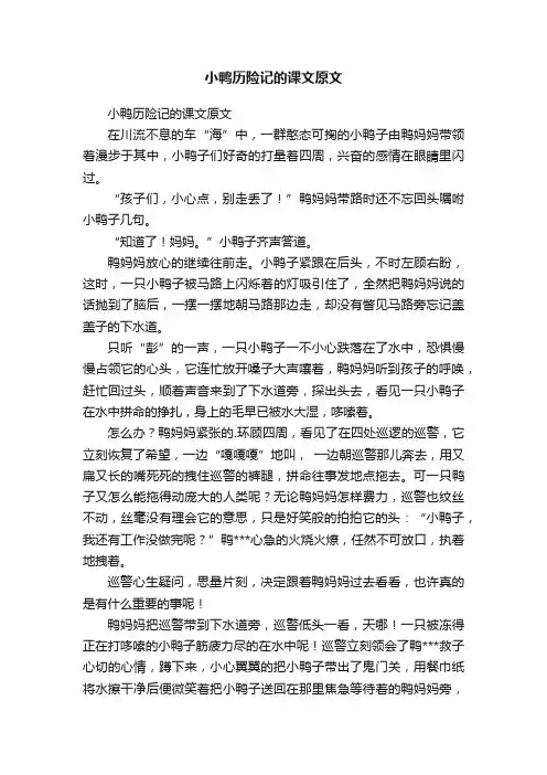 小鸭历险记的课文原文