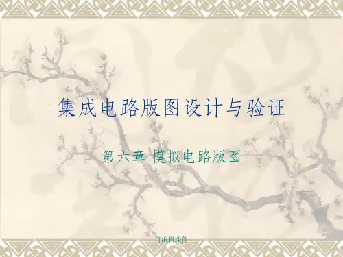 模拟电路版图ppt课件