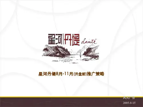 某某地产开盘前推广策略