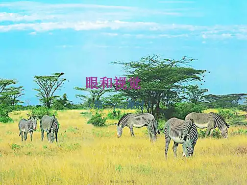 七年级科学下册《眼和视觉(第一课时)》课件