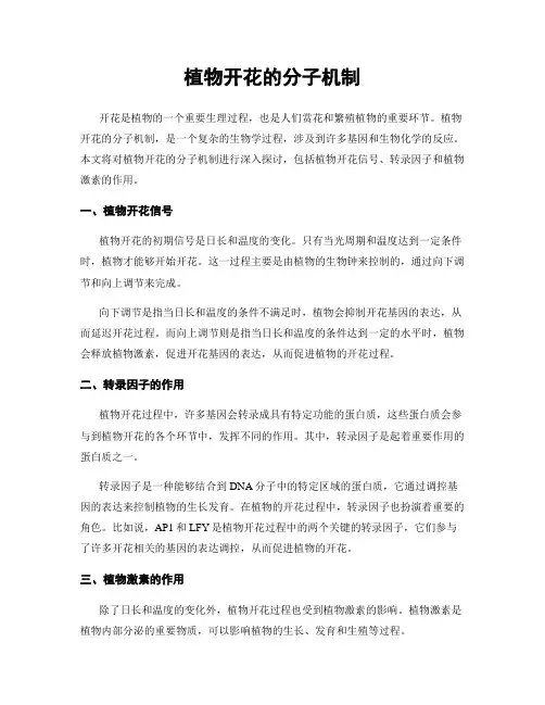 植物开花的分子机制