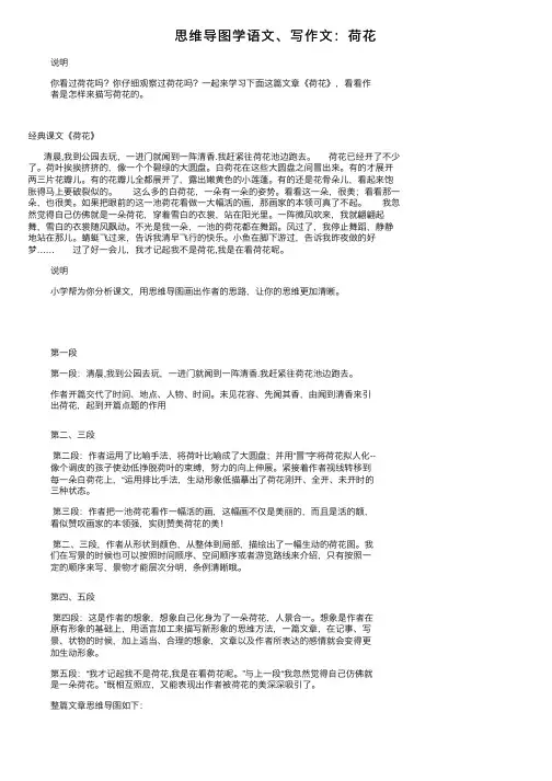 思维导图学语文、写作文：荷花