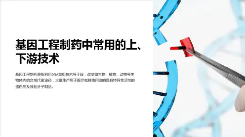 基因工程制药中常用的上、下游技术