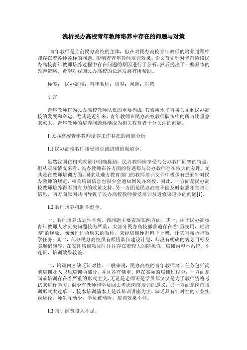 浅析民办高校青年教师培养中存在的问题与对策