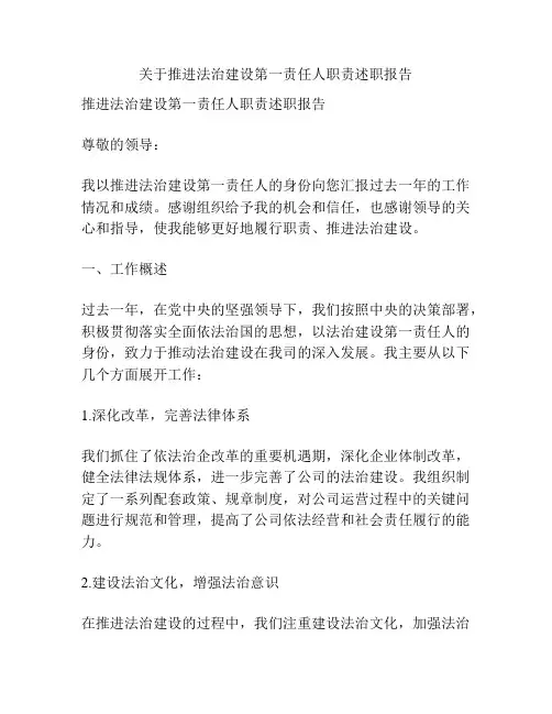 关于推进法治建设第一责任人职责述职报告
