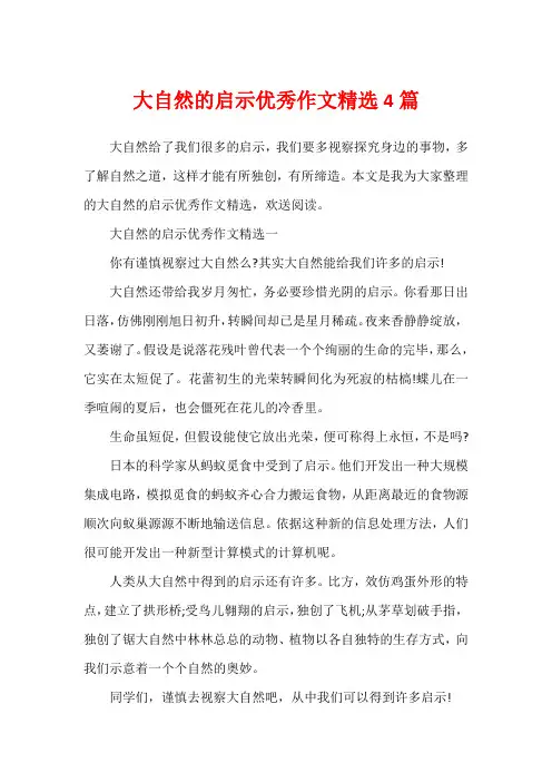 大自然的启示优秀作文精选4篇