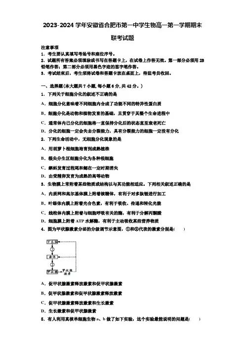 2023-2024学年安徽省合肥市第一中学生物高一第一学期期末联考试题含解析