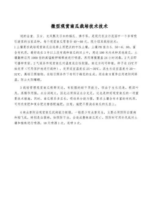 微型观赏南瓜栽培技术技术