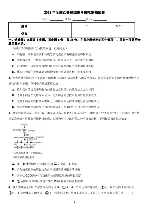 2023年全国乙卷理综高考模拟生物试卷(含答案)