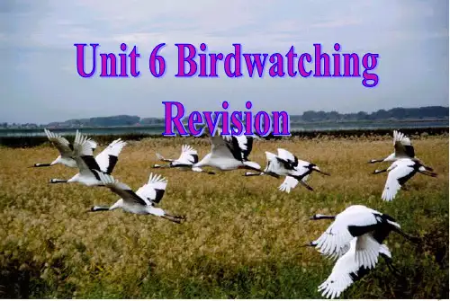 Unit6Revision(复习课件)八年级英语上册精品课堂(牛津译林版)