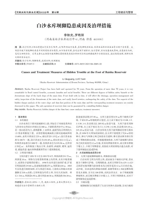 白沙水库坝脚隐患成因及治理措施
