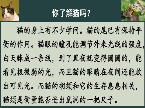 部编版四年级下册语文《猫》ppt课件