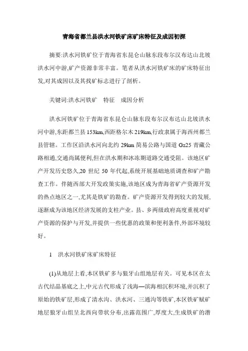青海省都兰县洪水河铁矿床矿床特征及成因初探