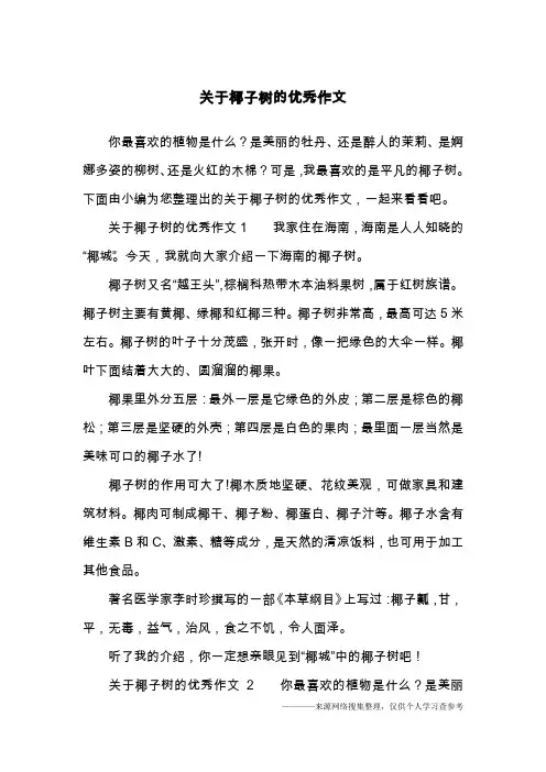 关于椰子树的优秀作文