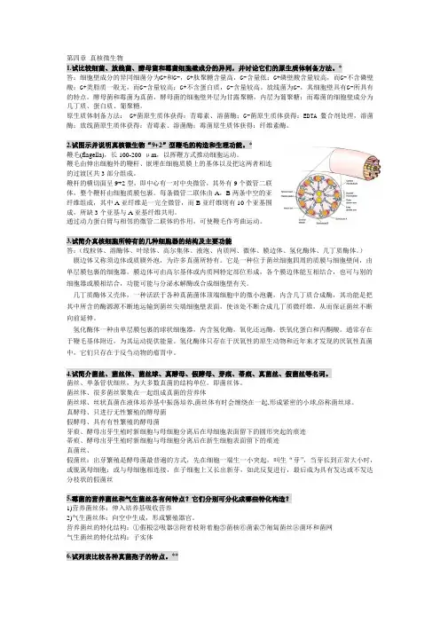 微生物学 微生物的代谢