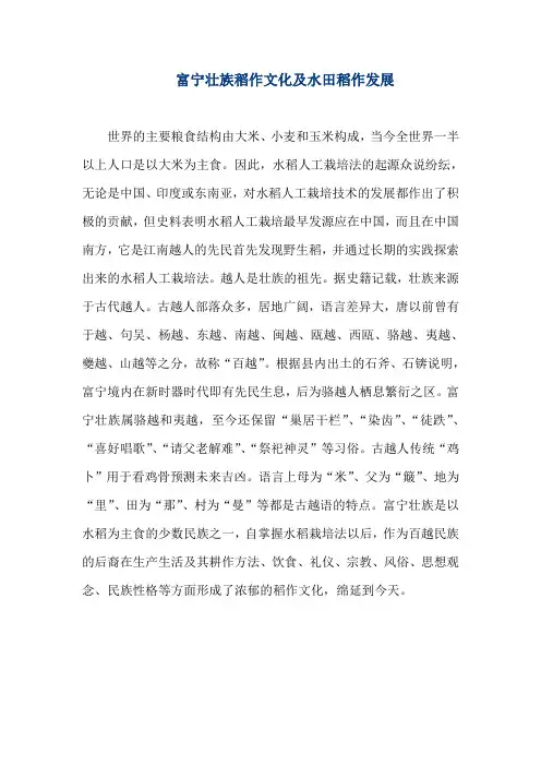 富宁壮族稻作文化及水田稻作发展