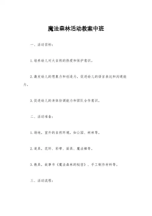 魔法森林活动教案中班