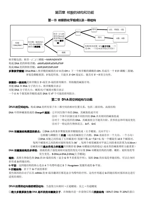 生物化学与分子生物学—核酸的结构和功能