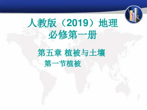 5.1植被教学课件高中地理人教版必修一